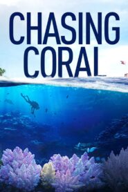 CHASING CORAL ไล่ล่าหาปะการัง (2017)