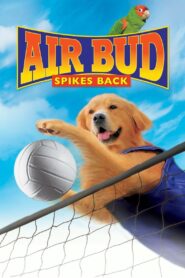 AIR BUD 5: SPIKES BACK ซุปเปอร์หมา ตบสะท้านคอร์ด (2003)