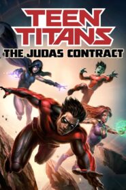 TEEN TITANS: THE JUDAS CONTRACT ทีนไททั่นส์ (2017)