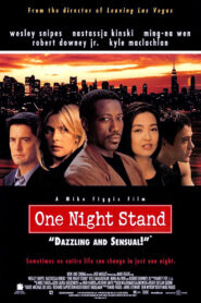 ONE NIGHT STAND ขอแค่คืนนี้คืนเดียว (1997)