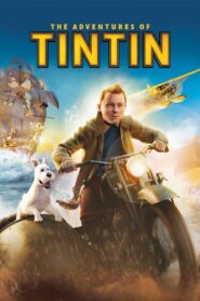 THE ADVENTURES OF TINTIN การผจญภัยของตินติน (2011)
