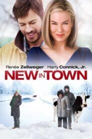NEW IN TOWN นิว อิน ทาวน์ หนีร้อนมาหนาวรัก (2009)