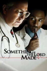 SOMETHING THE LORD MADE บางสิ่งที่พระเจ้าสร้าง (2004)