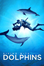 DIVING WITH DOLPHINS (2020) DISNEY+
