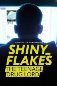 SHINY FLAKES: THE TEENAGE DRUG LORD ชายนี่ เฟลคส์: เจ้าพ่อยาวัยรุ่น (2021) NETFLIX