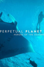 PERPETUAL PLANET: HEROES OF THE OCEANS (2021)