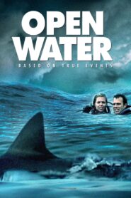 OPEN WATER ระทึกคลั่ง ทะเลเลือด (2003)